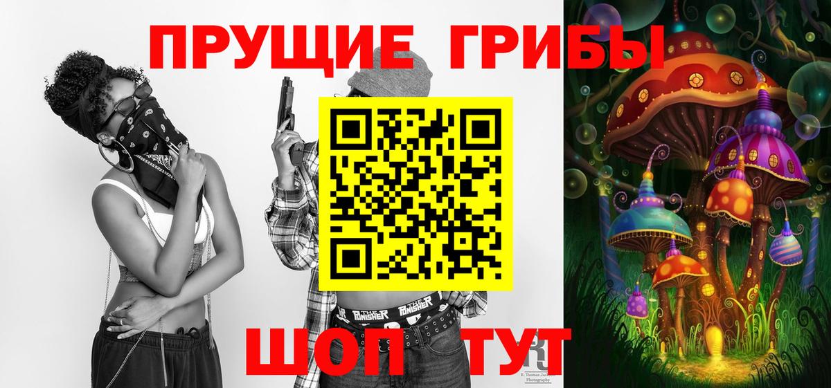 Псилоцибиновые грибы мицелий Тутаев