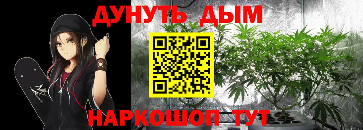 Шишки марихуана гибрид Тутаев